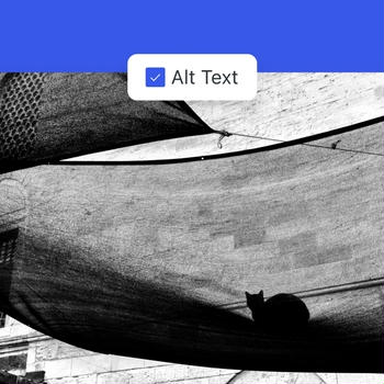 Why Alt Text Matters: Boost Accessibility and SEO with Every Image