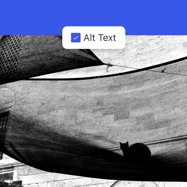 Why Alt Text Matters: Boost Accessibility and SEO with Every Image