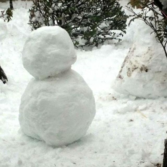長女のチャーハン、大雪で車が・・・