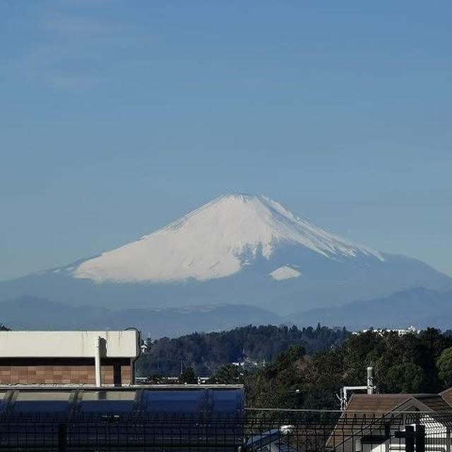 今日の富士山 / フードコートのリンガーハットとサーティーワン
