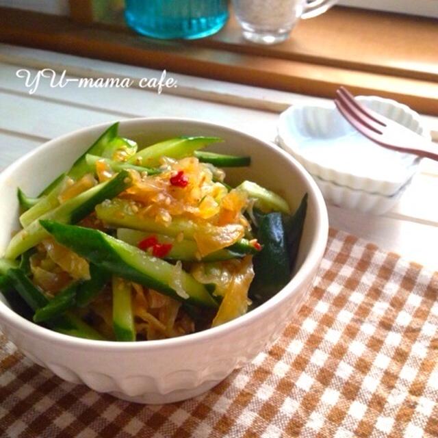 ピリ辛きゅうりの中華くらげ 〜ご質問のお返事などなど〜
