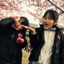 桜の花見