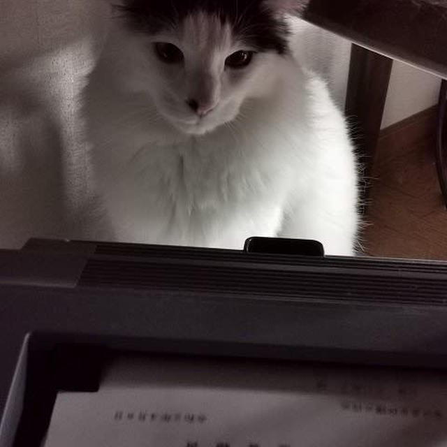 監督つきで印刷業務終了♪