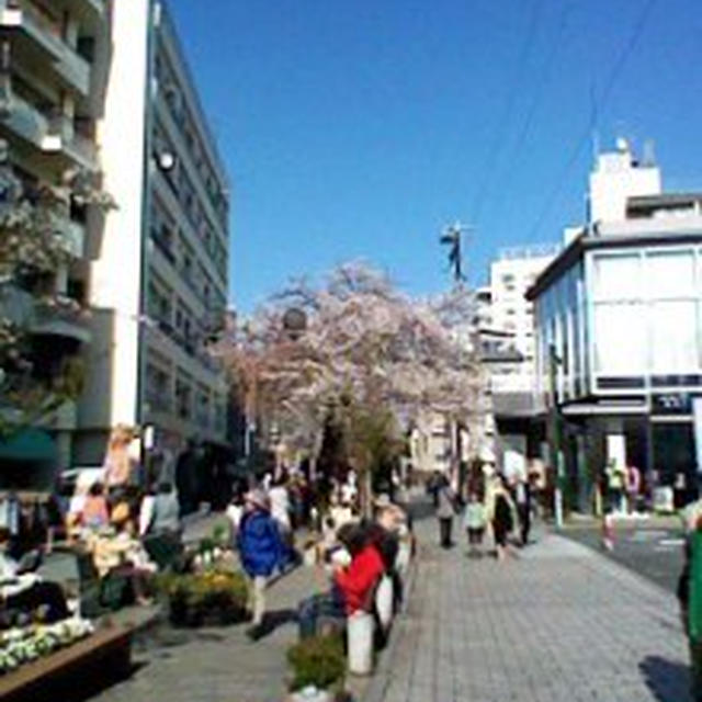 ＴＷＧ～自由が丘
