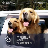 楽しみ〜〜〜！！