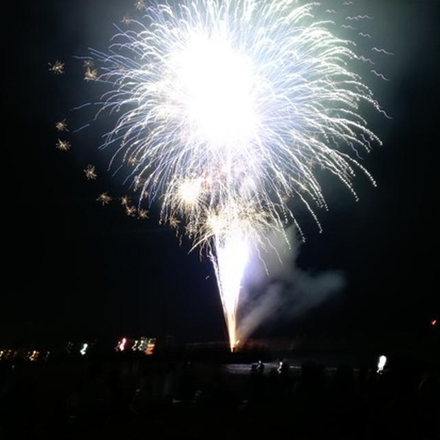 鹿島神社奉納花火大会2019(ﾟ∀ﾟ)