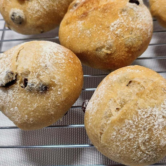 レーズン　ソフトフランスパン
