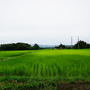 成長編-佐渡の八月・生き物調査。