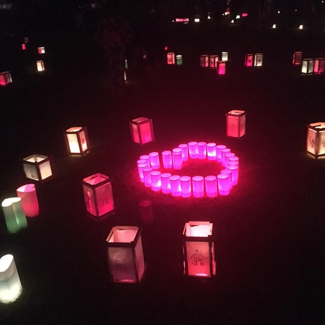 奈良燈花会ならとうかえ　世界遺産に囲まれた奈良公園のろうそくイベント　NARA TOKAE