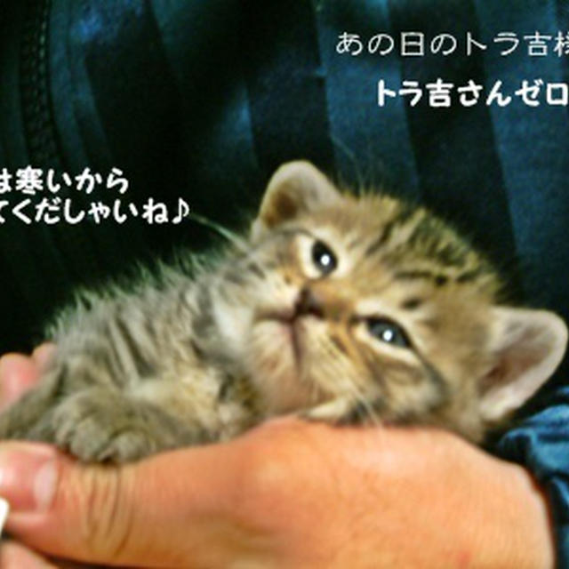 前に進む為に書いておきたい最後の日のこと。