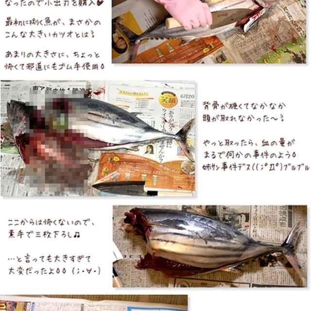 ■カツオを捌く■まるで事件（(；ﾟДﾟ)ｶﾞｸｶﾞｸﾌﾞﾙﾌﾞﾙ