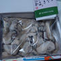 広島の牡蠣！！