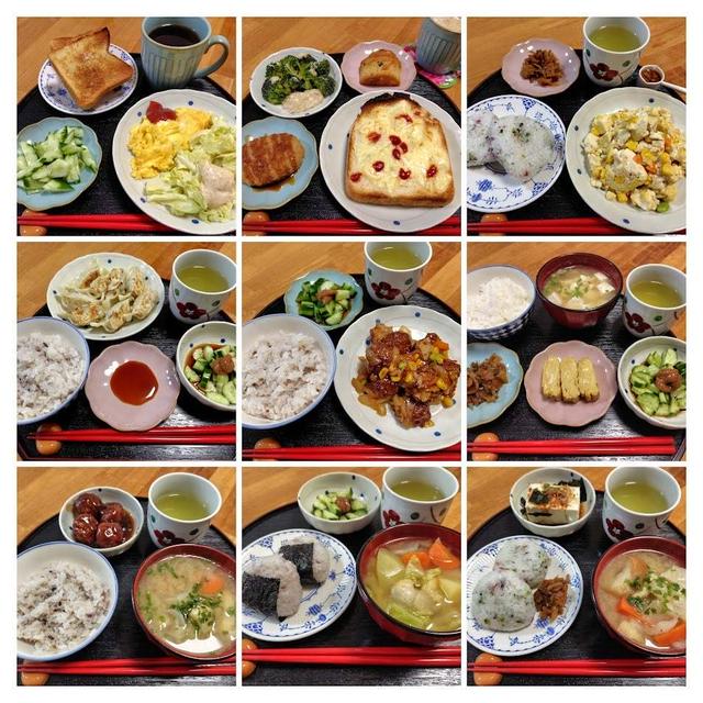 5月4日（日）～5月10日（土）の食事