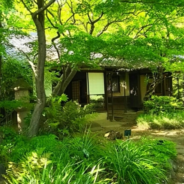 ☆都内のお散歩 : 林芙美子記念館☆