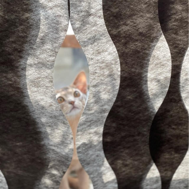 サンタフェ？　