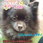 New＼(*^▽^*)／Year　　（おそっ）
