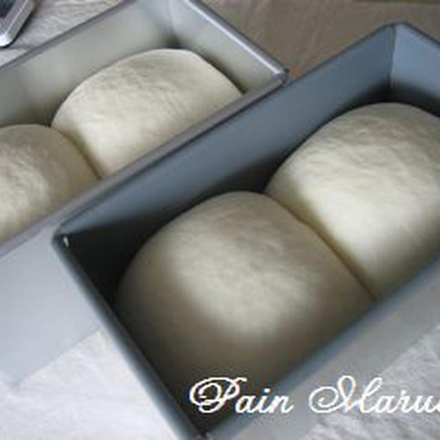 山型食パン（1.8斤×2本）