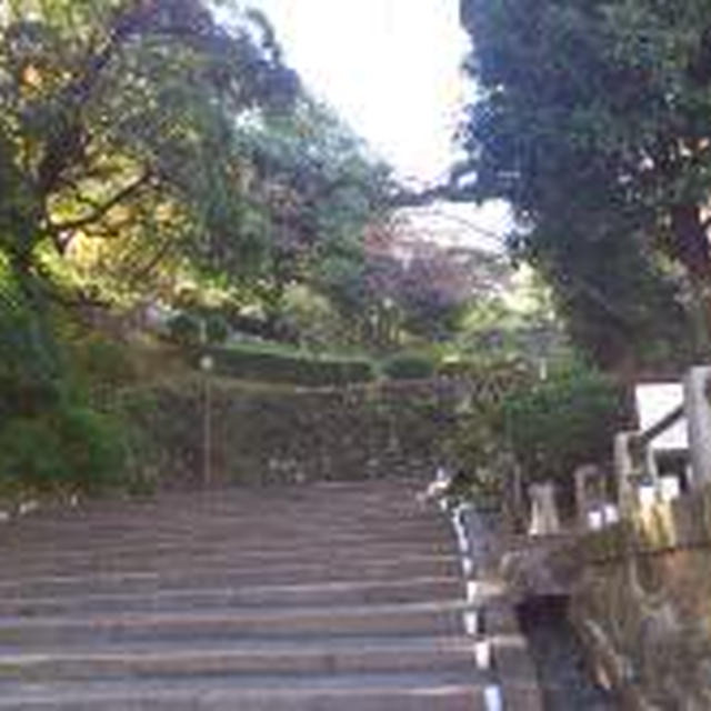 12/4　四国旅行２日目②高知城～桂浜～大歩危小歩危
