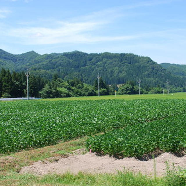 秋田、最高！