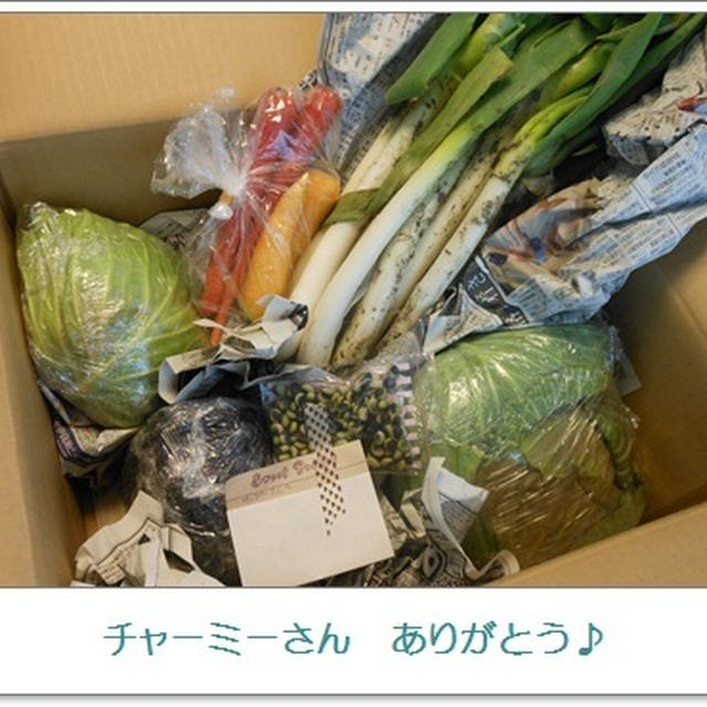 待ってました～(^^♪