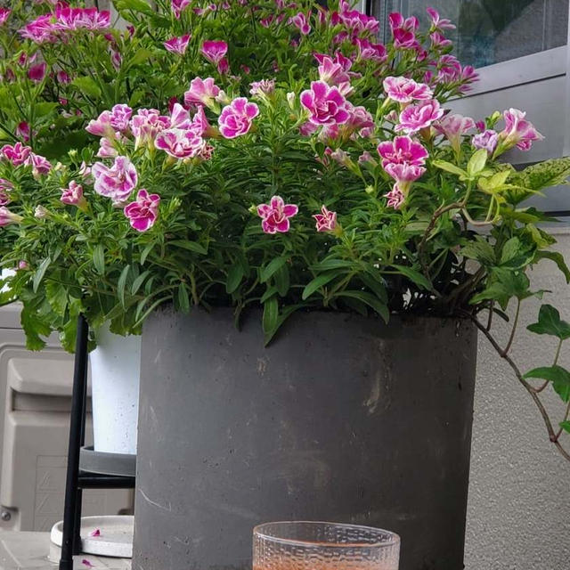 お花と月