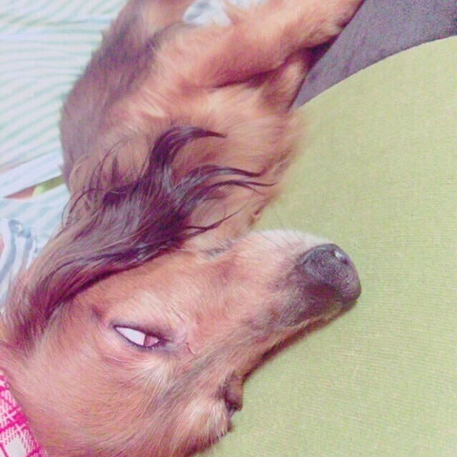 ここ最近の。。。