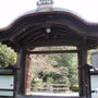 ☆春の京都 ?：金地院,哲学の道☆