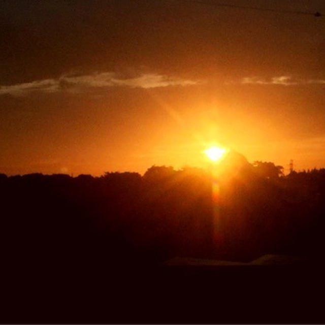 夕日