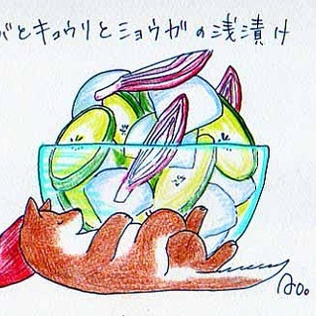 かぶとキュウリとミョウガの浅漬け