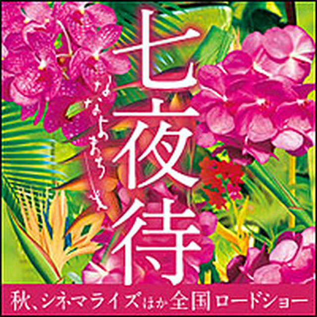 映画「七夜待」・キレイになるタイアップ