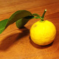 柚の種入り手作り化粧水　レシピあり　