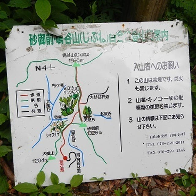 今年・初・山頂！！鳴谷山