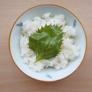 大葉を大量消費！黄金比率【5分で完成する大葉漬け】#ごはんのお供#作り置き#簡単
