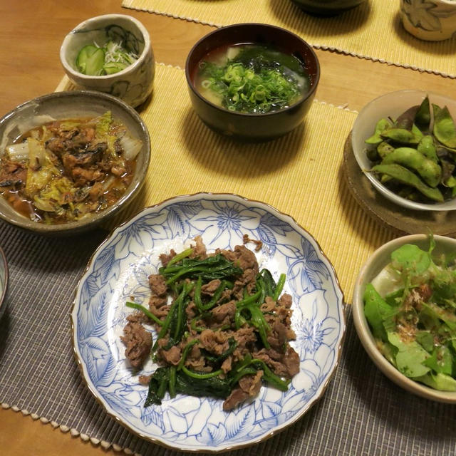 牛肉と法蓮草のシンプル炒めなど和の晩ご飯　と　銅葉ヒマ♪