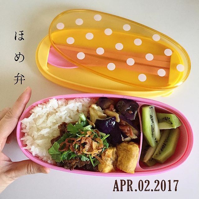 4/2から4/8までのおべんと日記☆なーさんの感想付きです