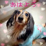 今日の1枚☆