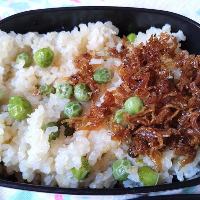 大雪ですが「春」の味覚(⌒∇⌒)ふるさと納税＆実エンドウ♪・・・今日の節約お弁当♪