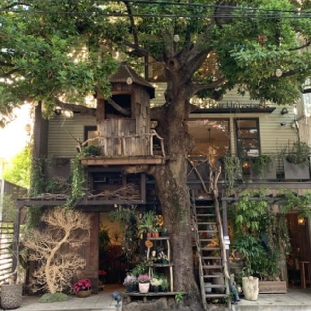素敵なお店