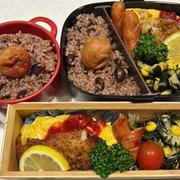 ムニエルとオムレツとひじきとズッキーニのサラダのお弁当