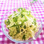 【キャベツ＆豆苗】野菜をストックして発展！美容＆時短な副菜サラダ3種