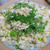 ｛水切り｝木綿豆腐｛一丁入り｝塩豚チャーハン