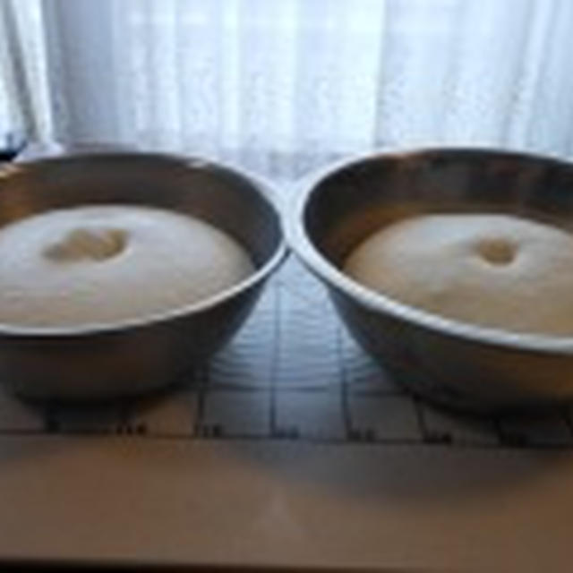 ホシノ丹沢酵母日記　***　南の香り比べ　***