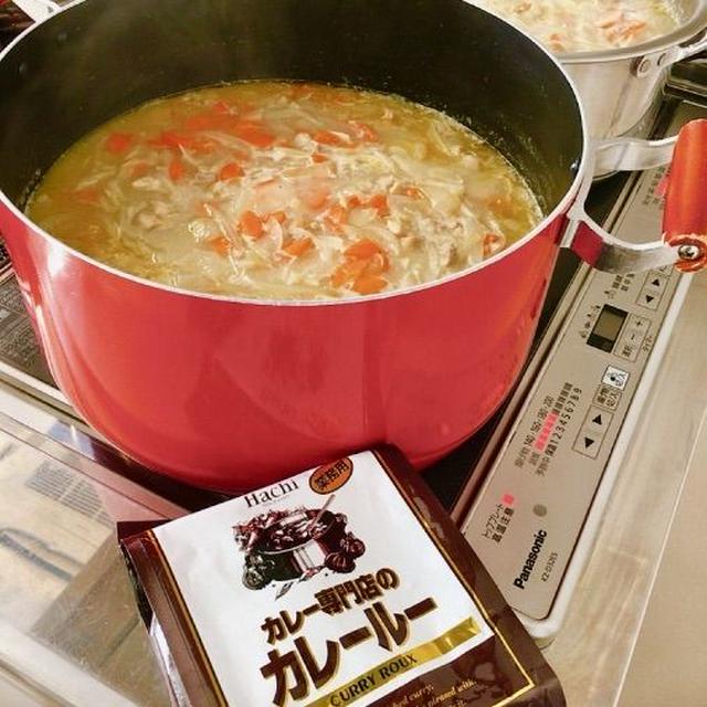＊カレー100人分のレシピ。 ＊辻堂の小さなパリ祭。「ボンジュール！ひょうきん山」♪♪
