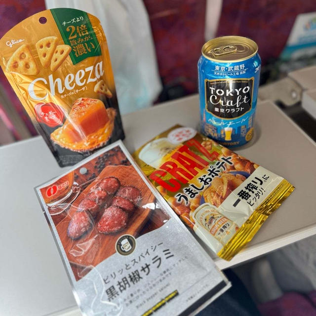 【大人の日帰り旅】久し振りに乗った江ノ電