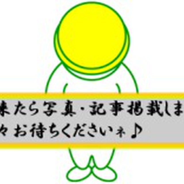 鶏もも肉のオリーブオイル焼き