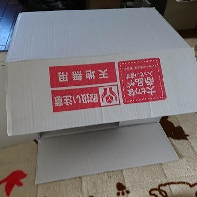 【小梅・さくら・桃之介通信】魔法の箱