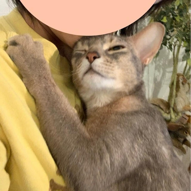 抱っこマンに休みはない