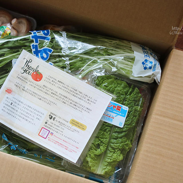 【コロナ対策】備えあれば憂いなし。そういや防災士になったんでした。【お野菜詰め合わせPR】