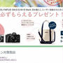 キャンペーンのトートバッグが到着！