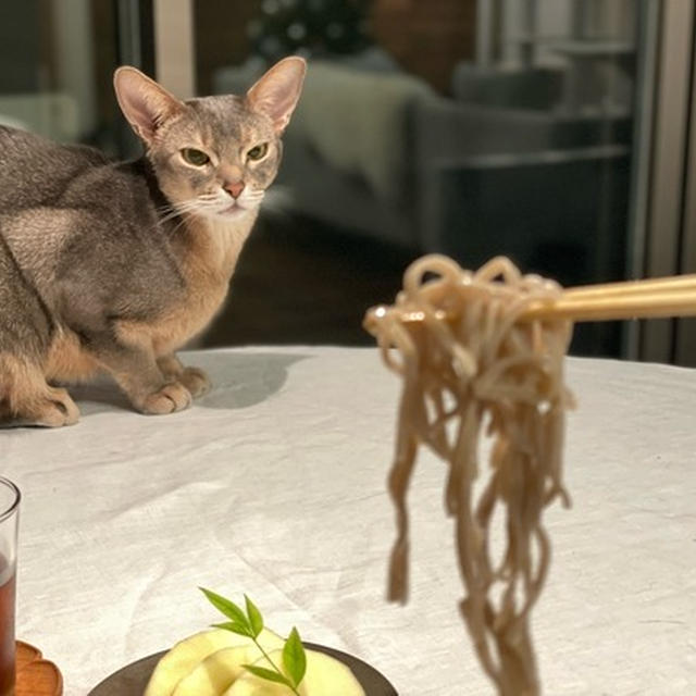 ひとりごはん　鴨南蛮風の鶏のつけ汁そば（自分で打った）